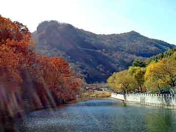 管家婆黑白马报图库，朗逸论坛